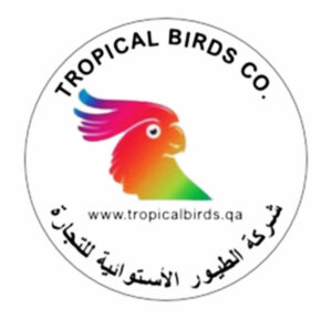 tropical birds